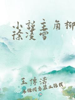 小说主角柳无邪徐凌雪