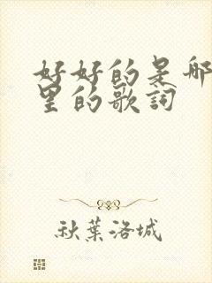 好好的是哪首歌里的歌词