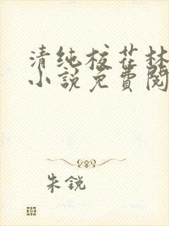 清纯校花林思琪小说免费阅读