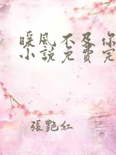 暖风不及你情深小说免费完本