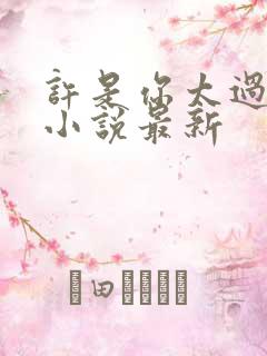 许是你太过耀眼小说最新