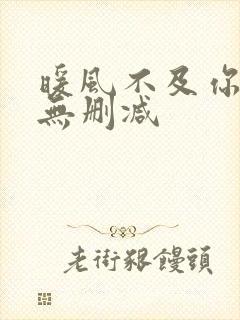 暖风不及你情深无删减