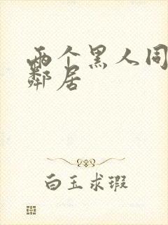 两个黑人同操女邻居