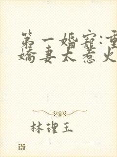 第一婚宠:重生娇妻太惹火 清歌一片