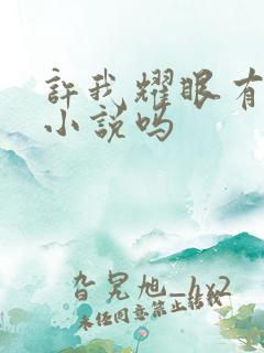 许我耀眼有原著小说吗