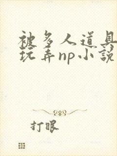 被多人道具调教玩弄np小说