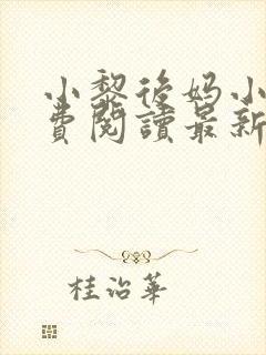 小黎后妈小说免费阅读最新章节更新