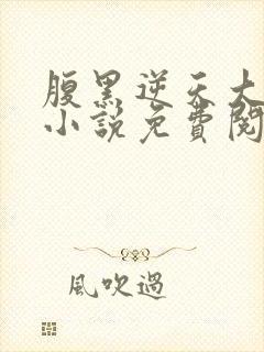 腹黑逆天大小姐小说免费阅读全文