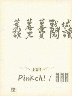 叶暮暮战城胤小说免费阅读无弹窗下载