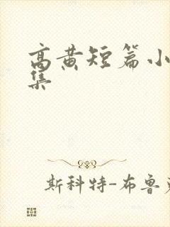 高黄短篇小说合集