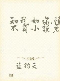 知我如你,情深不负小说免费阅读