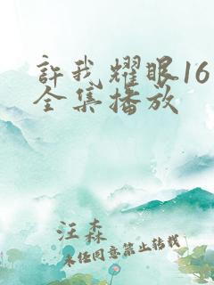 许我耀眼16集全集播放