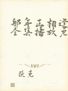 那年正相逢短剧全集播放免费观看