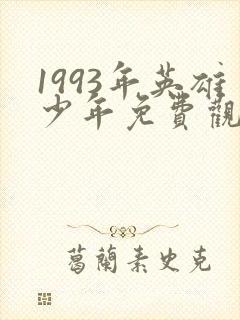 1993年英雄少年免费观看高清