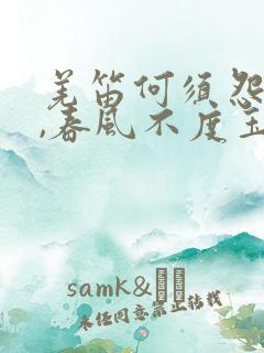 羌笛何须怨杨柳,春风不度玉门关翻译