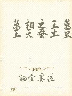 万相之王万相之王天蚕土豆最新章节