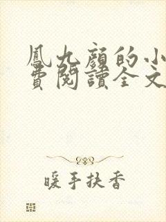 凤九颜的小说免费阅读全文无弹窗