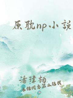 原耽np小说