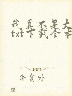 我真不是大明星txt下载全本