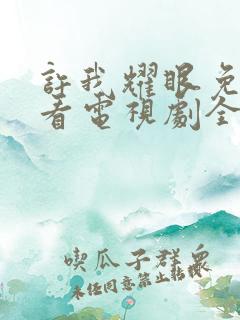 许我耀眼免费观看电视剧全集高清