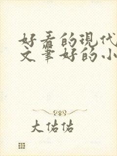 好看的现代言情文笔好的小说