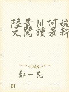 陆景川何婉晴全文阅读最新章节