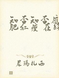 知否知否应是绿肥红瘦 在线播放