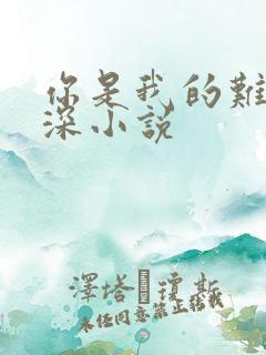 你是我的难得情深小说