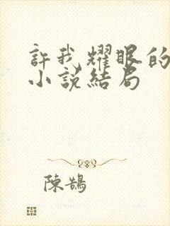 许我耀眼的原著小说结局