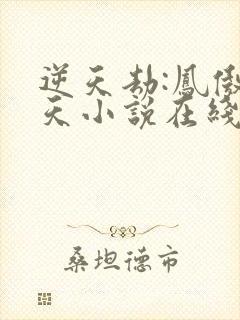 逆天劫:凤傲九天小说在线播放