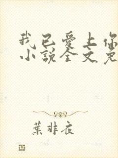 我已爱上你陈超小说全文免费阅读