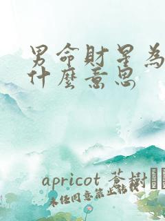 男命财星为妻星什么意思