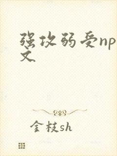 强攻弱受np甜文