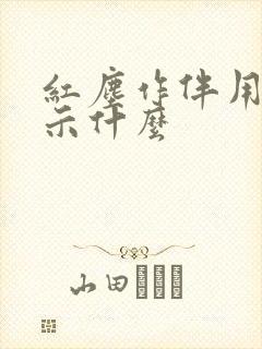 红尘作伴用来暗示什么