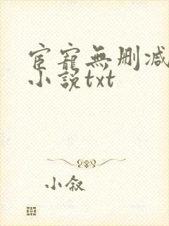 宦宠无删减原著小说txt