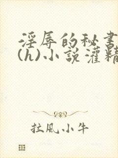 淫辱的秘书调教(h)小说灌精