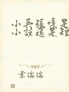 小兵张嘎是长篇小说还是短篇小说