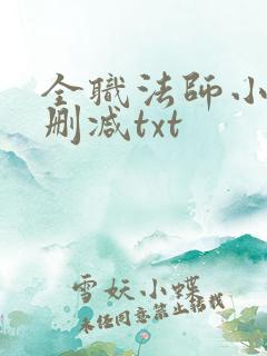 全职法师小说无删减txt