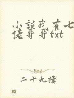 小说我有七个大佬哥哥txt