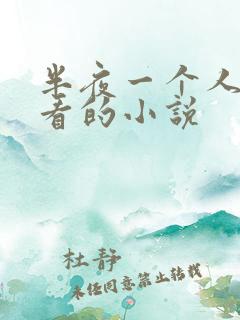 半夜一个人偷偷看的小说