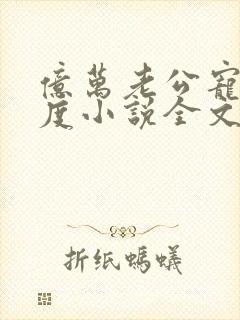 亿万老公宠妻无度小说全文