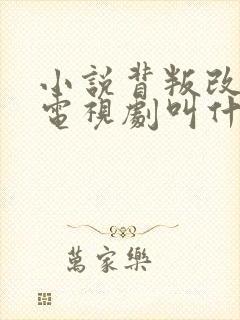 小说背叛改编的电视剧叫什么