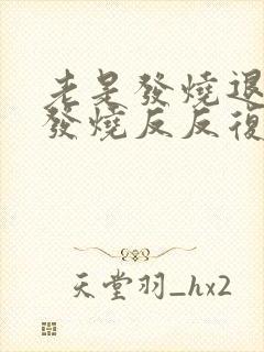 老是发烧退了再发烧反反复复