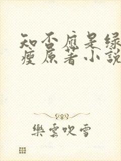 知否应是绿肥红瘦原著小说