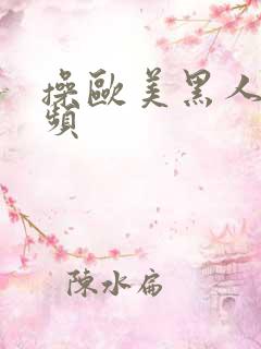 操欧美黑人逼视频