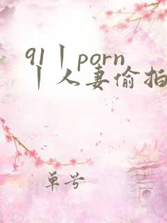 91丨porn丨人妻偷拍