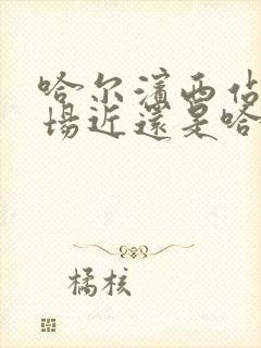 哈尔滨西站离机场近还是哈尔滨站近