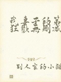 我妻子的第一次狂欢无删减版