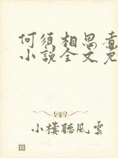 何须相思煮余年小说全文免费阅读