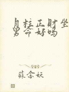 月柱正财坐正财男命好吗